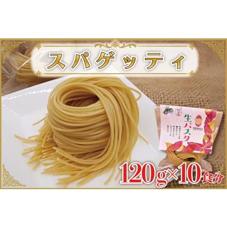 ふるさと納税 CJ-15 生パスタ （スパゲッティ10食分） 茨城県行方市