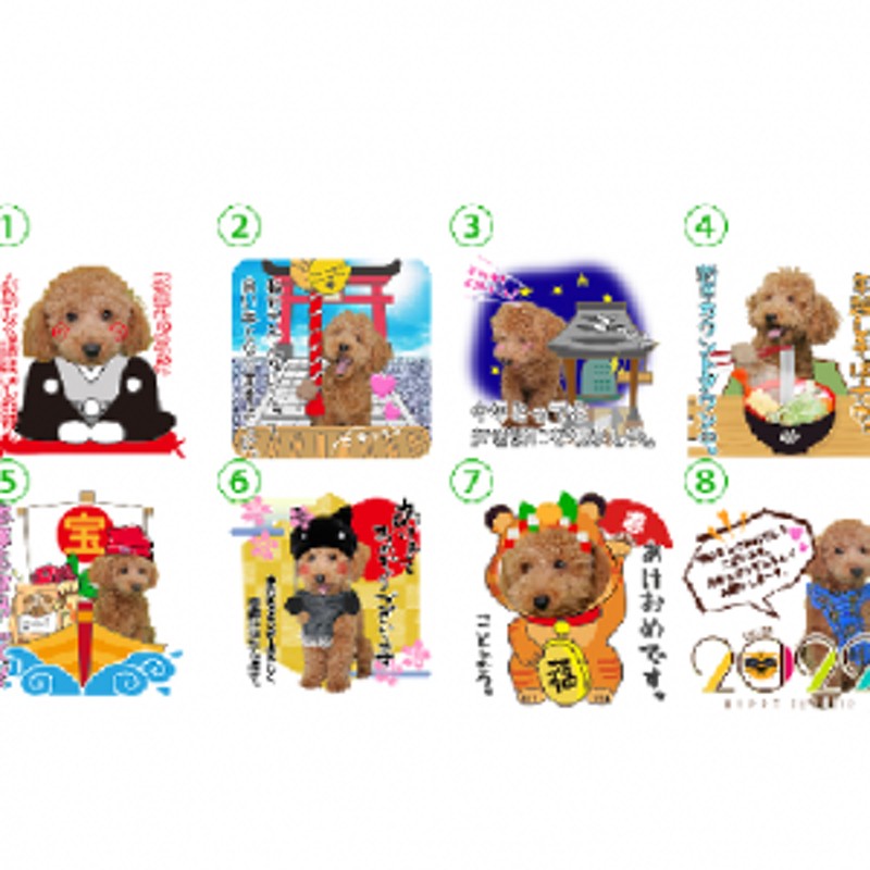 うちの子lineスタンプ お正月boyセット 写真でつくるオリジナルlineスタンプ 犬用 通販 Lineポイント最大7 0 Get Line ショッピング