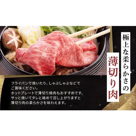 ふるさと納税 飛騨牛Ａ5 赤身肉 スライス 600g（300g×2パック）モモ 又は カタ 肉 ｜国産 肉 牛肉 焼肉 すき焼き しゃぶしゃぶ 和牛 黒毛和.. 岐阜県大野町