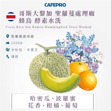 CAFEPRO 哥斯大黎加 聖蘿蔓處理廠 蜂鳥 酵素水洗(咖啡生豆)(二次篩選)
