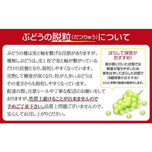 ふるさと納税 福島県 田村市  シャインマスカット 1.3kg 2房 家庭用 冷蔵 種無し 種なし ブドウ ぶどう 品種 果物 甘さ 香り 美味しい 人気 ラン…