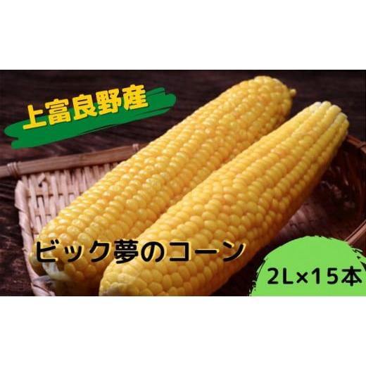 ふるさと納税 北海道 上富良野町 地元上富良野産 ビック夢のコーンとうもろこし15本セット