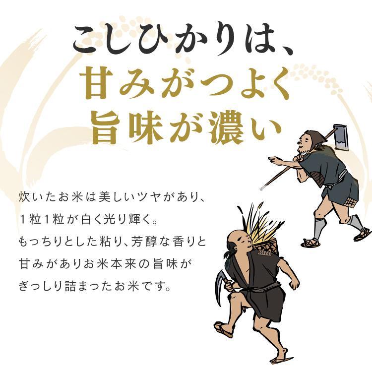 魚沼産こしひかり 2kg コシヒカリ こしひかり 米 お米 白米 送料無料 ご飯 魚沼産コシヒカリ 生鮮米 一等米100％ 新潟県産 アイリスオーヤマ