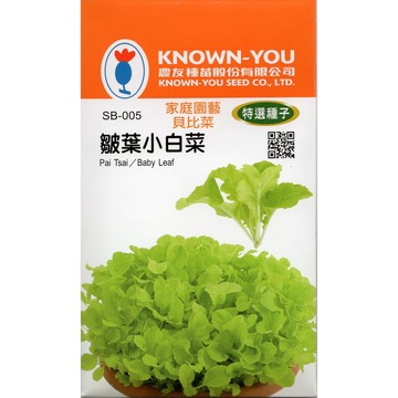 【拈花微笑】皺葉小白菜｜貝比菜種子｜1g｜非基因改造種子｜蔬菜｜蔬果｜有機無毒｜高發芽率