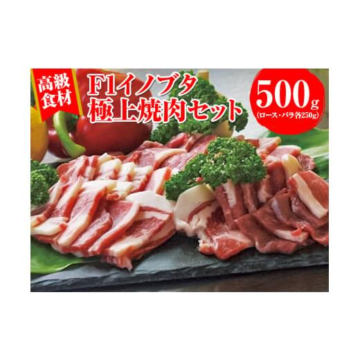 ふるさと納税 和歌山県 美浜町 高級食材！F1イノブタ　極上焼肉セット◇ ※着日指定不可