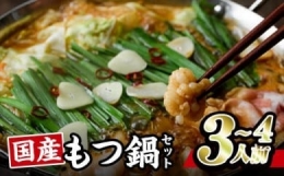 モツ鍋 セット (3-4人前・ホルモン500g・豚バラ300g・ちゃんぽん麺2玉・もつダレ1本)