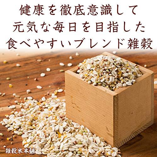 雑穀米本舗 ヘルシーブレンド 30kg(500g×60袋)