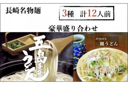 長崎名物麺 皿うどん 五島うどん 計12人前！豪華詰め合わせセット [IA02]