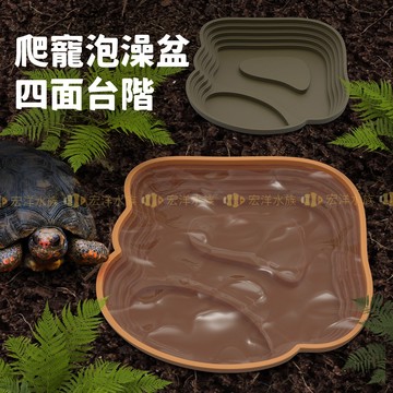 宏洋水族【NOMO🦎澡盆/曬台兩用 爬寵泡澡盆】爬蟲澡盆 爬蟲水盆 爬寵曬台 守宮 蜥蜴 烏龜 陸龜 角蛙 曬背台 爬蟲