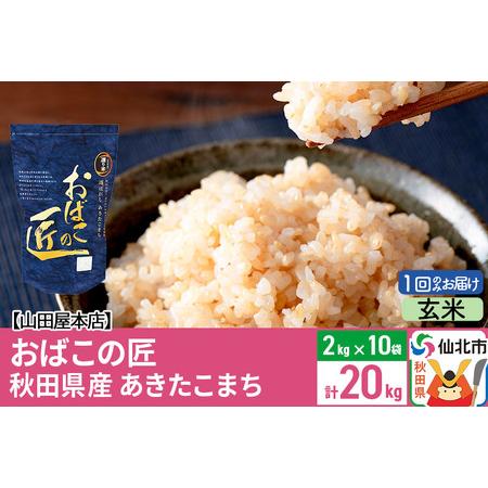 ふるさと納税 令和5年産 仙北市産 おばこの匠 20kg（2kg×10袋）秋田こまち 秋田県仙北市