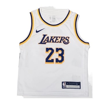 NBA Nike 洛杉磯 湖人隊 LBJ Lakers LeBron James  詹姆士 兒童 籃球衣