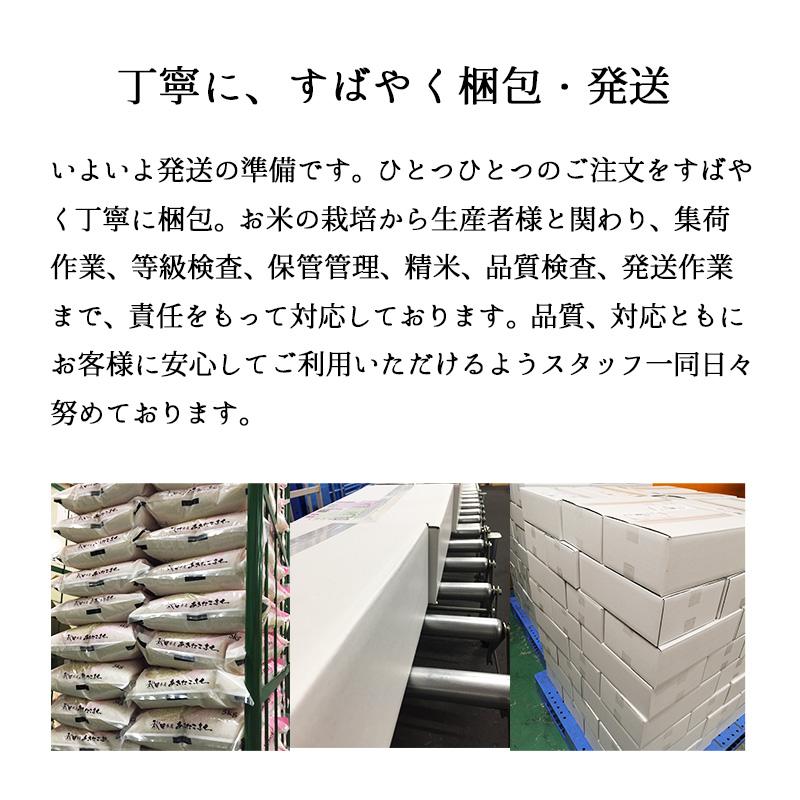 新米 5kg 新潟コシヒカリ （無洗米） お米 5キロ 令和5年産