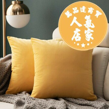 沙發抱枕/方形抱枕 天鵝絨抱枕靠墊套客廳沙發靠枕床頭抱枕套不含芯靠墊套大號靠背枕