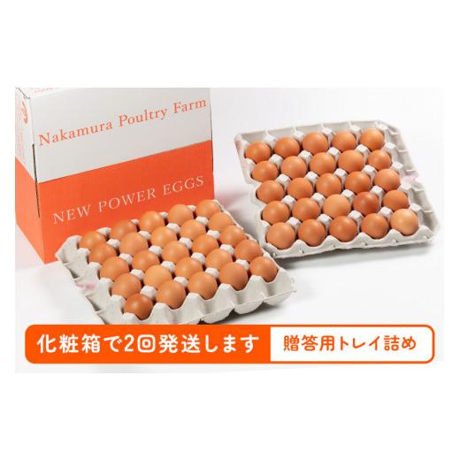 ふるさと納税 茨城県 小美玉市 鶏卵 計100個　ギフト用化粧箱50個（45＋補償5個）入り ×2回発送　 定期便 3週間後 たまご タマゴ 玉子 国産 茨城県…