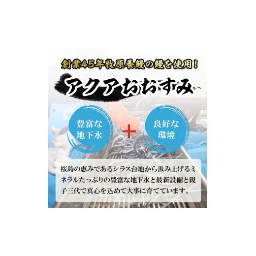 ふるさと納税 鹿児島県 東串良町 ＜定期便・全3回＞東串良町のうなぎ蒲焼(無頭)(4尾・計約720g・タレ、山椒付×3回)