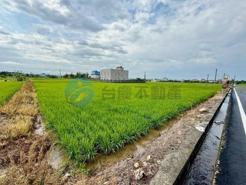 ☆專任☆-新豐青埔子451方正優質美農地｜新竹縣新豐鄉青埔子