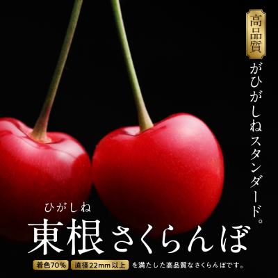 ふるさと納税 東根市 GI「東根さくらんぼ」 2024年産 佐藤錦1kgバラ詰め JA産直提供