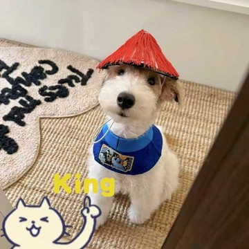寵物宮廷風 COS 搞怪裝扮 穿脫輕鬆造型生動有趣 皇后娘娘與貼身小李子款式 中小型寵物皆可穿著 拍照玩樂專用趣味服飾