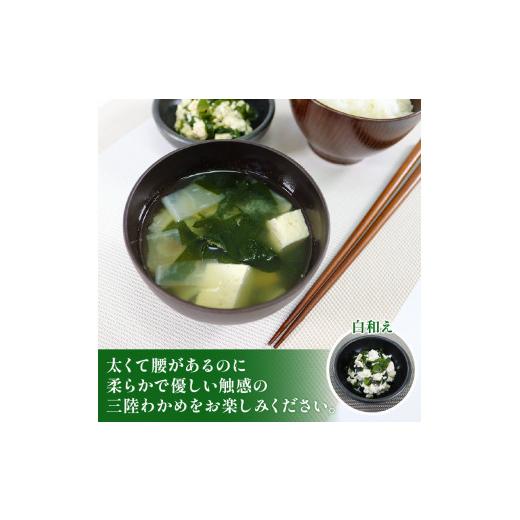 ふるさと納税 岩手県 大船渡市 三陸わかめ 三陸産 芯抜き塩蔵わかめ 500g×2袋 1等品