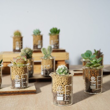 迷你燒杯組  一組兩入含底座  禮物