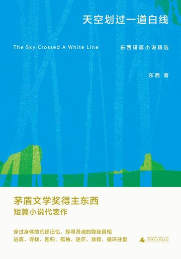 【電子書】天空划过一道白线：东西短篇小说精选