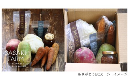 〈自然栽培〉佐々木ファーム　旬の野菜詰め合わせ　～ありがとうBOX 2023・小～　やさい　直送　北海道　洞爺湖町