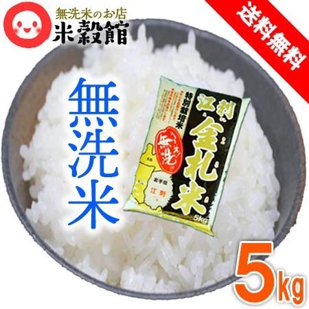 米 送料無料 5kg 岩手県江刺産 「江刺金札米」 無洗米