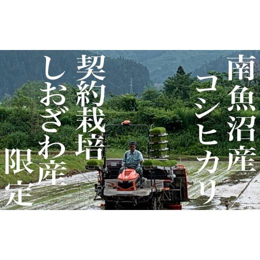 ふるさと納税 新潟県 南魚沼市 生産地限定 契約栽培 南魚沼しおざわ産コシヒカリ２Kg×3ヶ月