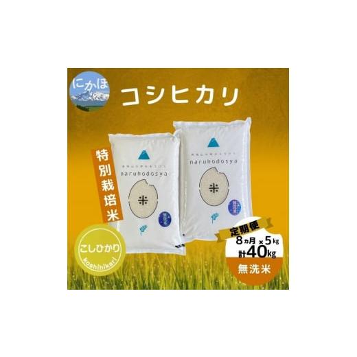 ふるさと納税 秋田県 にかほ市 特別栽培米コシヒカリ5kg×8回