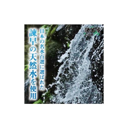 ふるさと納税 長崎県 諫早市 うなぎ蒲焼10尾