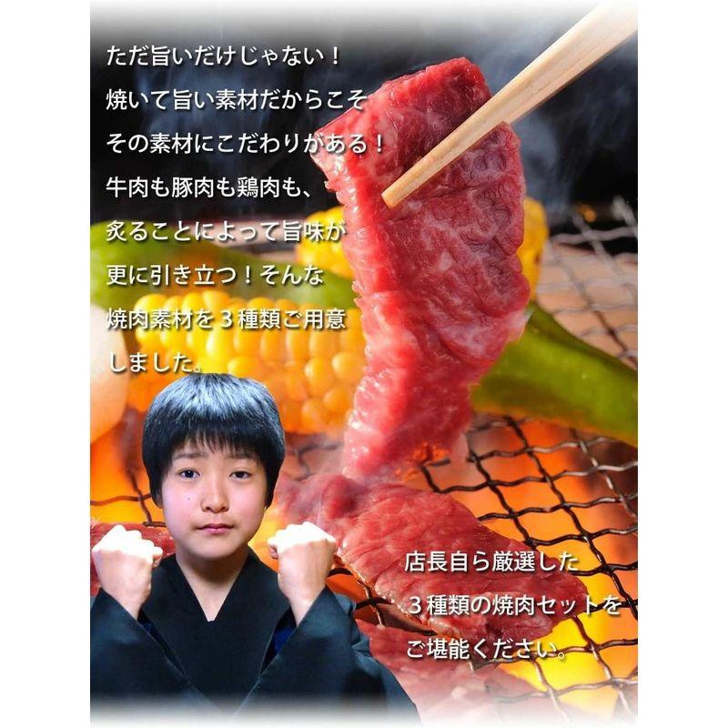 牛肉 豚肉 鶏肉 の三品焼肉セット 900g