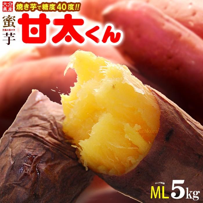 甘太くん M-L (5kg) 大分産 紅はるか かんたくん かんた 蜜 芋 甘い ネットリ 高糖度 さつま芋 サツマイモ 甘藷 焼き芋 焼いも 薩摩芋 サツマイモ ギフト 贈答