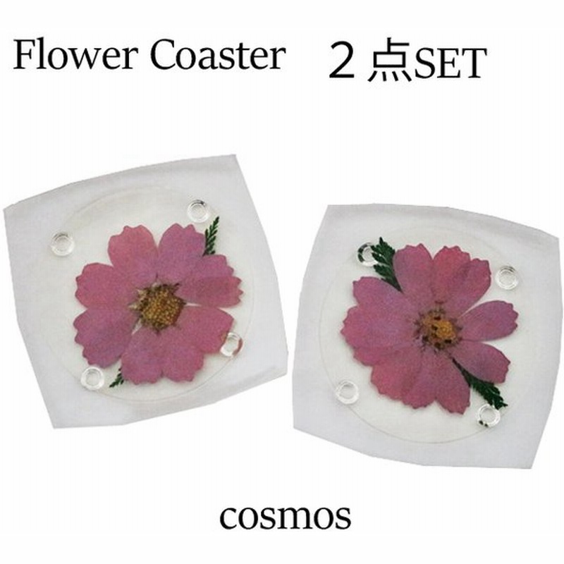 お買い得 押し花がステキ 押し花コースター アクリルコースター 花 テーブルウェア フラワー コスモス ノースポール 2点セット 通販 Lineポイント最大get Lineショッピング