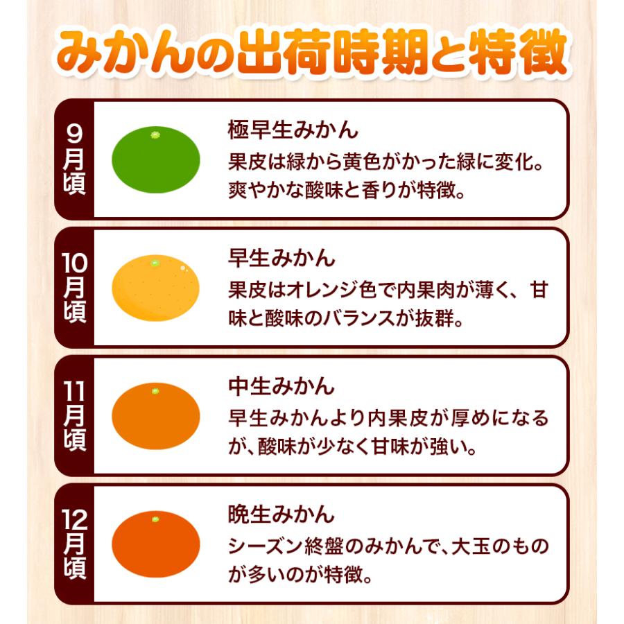 みかん 送料無料 10kg 訳あり 内容量9kg 補償分500g  規格外 サイズ不選別 熊本県産  極早生 は緑色傾向 ミカン 蜜柑 ご自宅用 ポイント消化