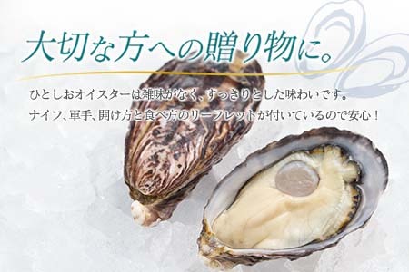 年内発送≪数量限定≫宮崎県産ブランド牡蠣『ひとしおオイスター』計20個　魚介　貝　かき　生食用　殻付き　国産 CB81-23