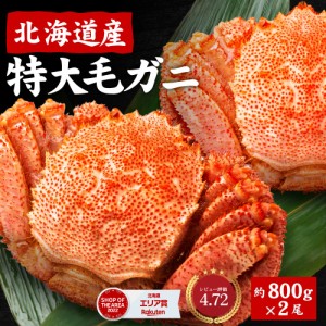 北海道産 毛蟹 毛ガニ 毛がに 800g 2尾セット 送料無料 札幌 場外市場 ボイル 海鮮グルメ お取り寄せ ギフト プレゼン