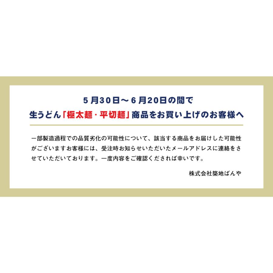 ギフト どんまいの極太麺18食 だし醤油付 讃岐生うどん 送料無料 （北海道・沖縄・離島 1500円） ご当地セット 産直 福袋 お歳暮