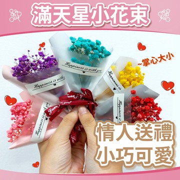 🎈氣球快易送🎈 滿天星小花束(高約12公分) 乾燥花束 滿天星 畢業花束 情人節 聖誕節 情人花束 小花束【台灣現貨】