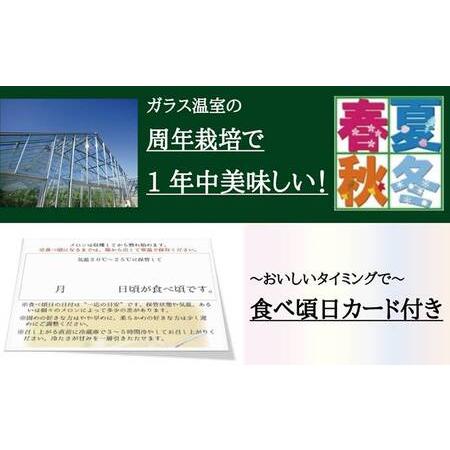 ふるさと納税 クラウンメロン 定期便 12ヶ月 白等級 1玉 メロン 静岡 マスクメロン フルーツ 果物 デザート 12回 静岡県袋井市