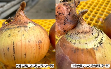 たまねぎ島のまかないセット〈玉ねぎ5kg＋味噌汁20食分〉