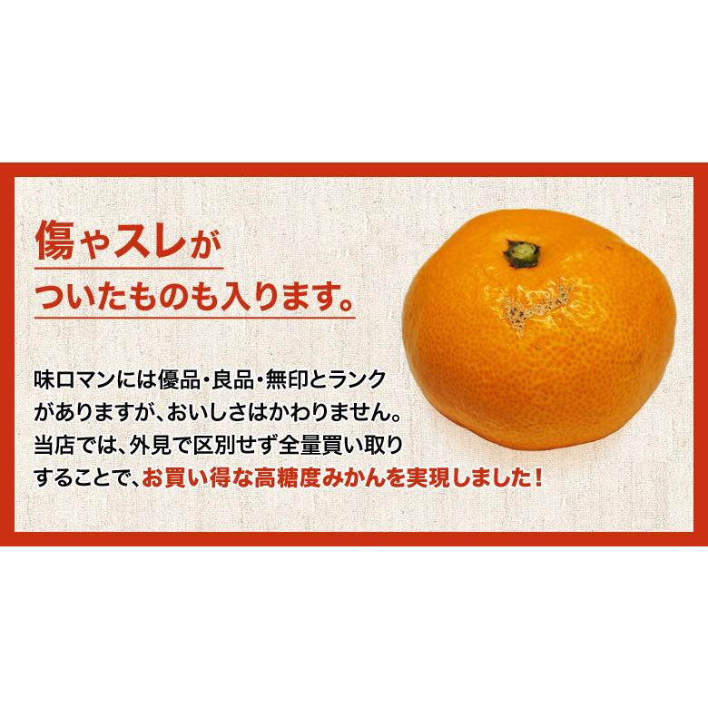 『味ロマン』 JA長崎せいひ M〜Lサイズ 約10kg 産地箱 外皮に傷あり ※常温　送料無料