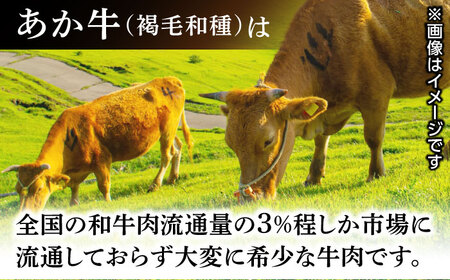 肥後の赤牛 ロースステーキ 500g ロース ステーキ 贅沢 熊本 赤牛 あか牛 褐牛 あかうし 褐毛和種 肥後 冷凍 国産 牛肉 九州産 熊本産[YDF028]