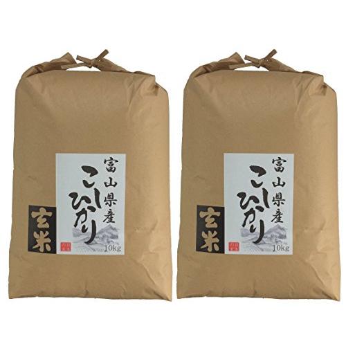 みのライス  富山県産 コシヒカリ 20kg(10kg×2) 石抜き処理済み 令和5年産 新米