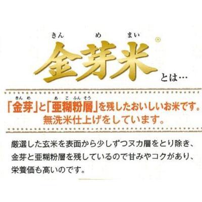 ふるさと納税 安来市 2024年1月発送開始『定期便』BG無洗米　金芽米きぬむすめ5kg全6回