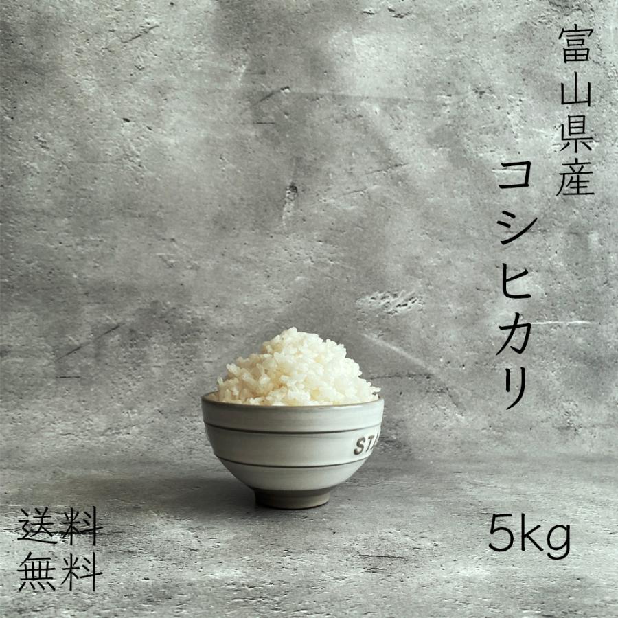 新米 令和5年産 米 5kg お米 玄米 真空パック（5kg×1袋）コシヒカリ 富山県産 令和5年産 精米無料 真空パック無料 送料無料