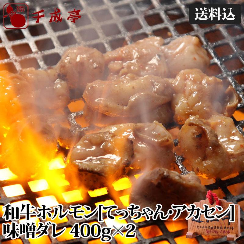 牛肉 肉 和牛 和牛味噌ダレホルモン400g×2P [送料込] 御祝 内祝 ギフト プレゼント