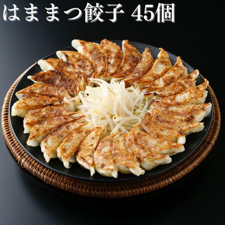 はままつ餃子 45個 餃子の街 浜松 野菜たっぷり 国産豚肉使用 送料無料