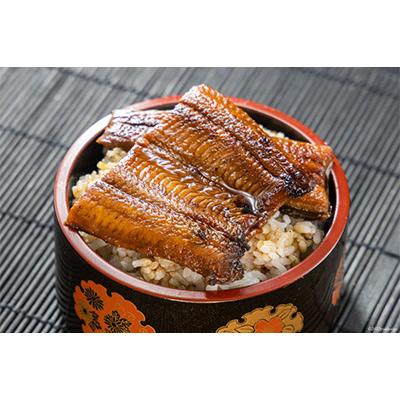 ふるさと納税 吉田町 静岡県産うなぎ蒲焼レンジパック80g×5パック