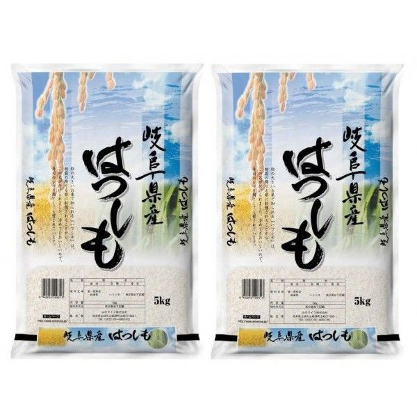 米 お米 白米 10kg ハツシモ 岐阜県産 5kg×2袋 令和5年産 送料無料