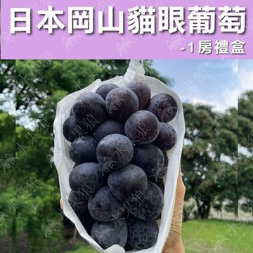水果狼 頂級日本空運岡山貓眼葡萄 單房禮盒 (650g/盒)